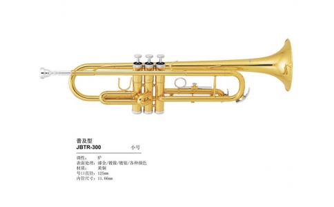 津宝·小号·TR-300小号